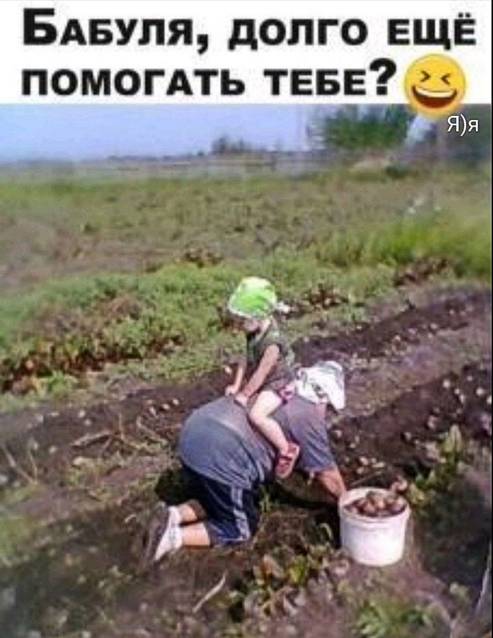 Бабушка, долго ещё помогать тебе?