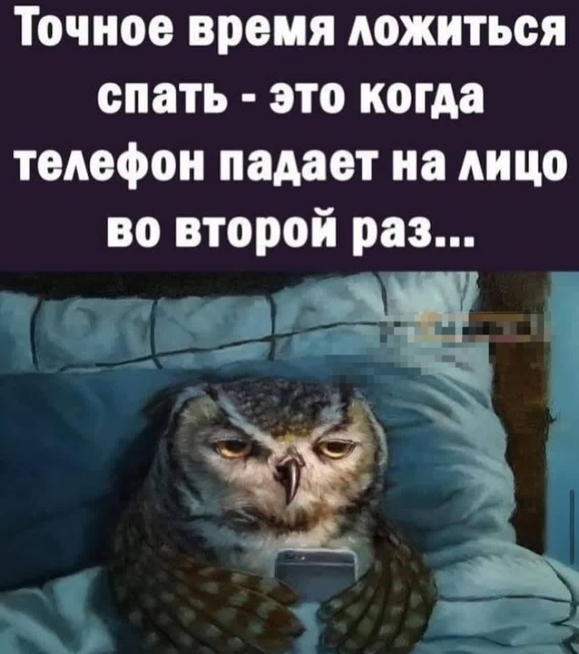 Точное время ложиться спать - это когда телефон падает на лицо во второй раз...