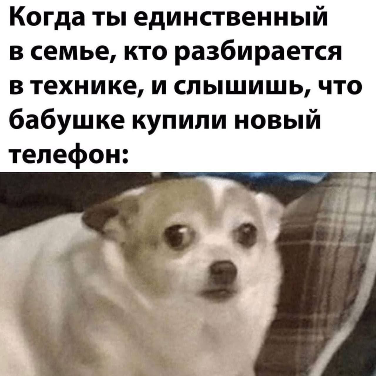 Когда ты единственный в семье, кто разбирается в технике, и слышишь, что бабушке купили новый телефон: