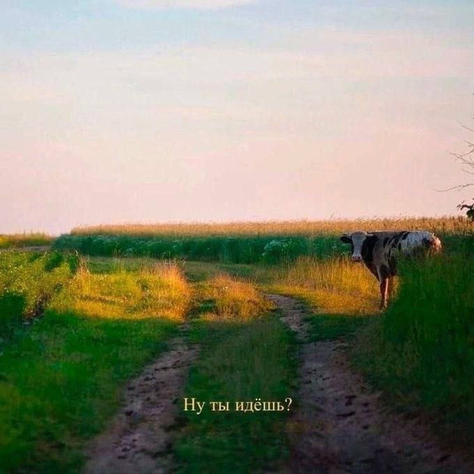 Ну ты идёшь?