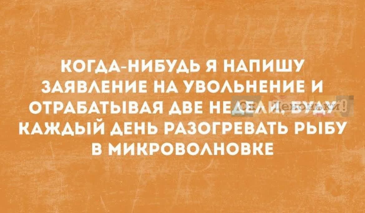 КОГДА-НИБУДЬ Я НАПИШУ ЗАЯВЛЕНИЕ НА УВОЛЬНЕНИЕ И ОТРАБАТЫВАЯ ДВЕ НЕДЕЛИ БУДУ КАЖДЫЙ ДЕНЬ РАЗОГРЕВАТЬ РЫБУ В МИКРОВОЛНОВКЕ