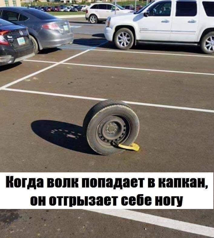 Когда волк попадает в капкан, он отрезает себе ногу