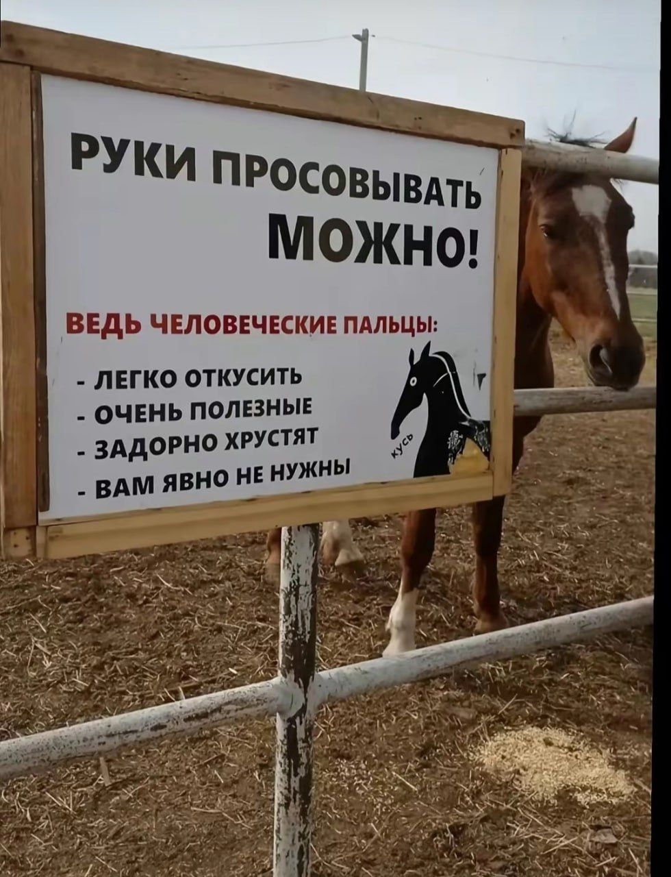 РУКИ ПРОСОВЫВАТЬ МОЖНО! 
ВЕДЬ ЧЕЛОВЕЧЕСКИЕ ПАЛЬЦЫ: 
- ЛЕГКО ОТКУСИТЬ 
- ОЧЕНЬ Полезные 
- ЗАДОРНО ХРУСТЯТ 
- ВАМ ЯВНО НЕ НУЖНЫ