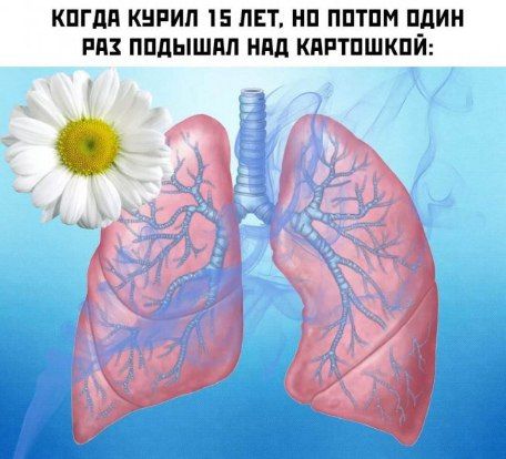 Когда курил 15 лет, но потом один раз подышал над картошкой: