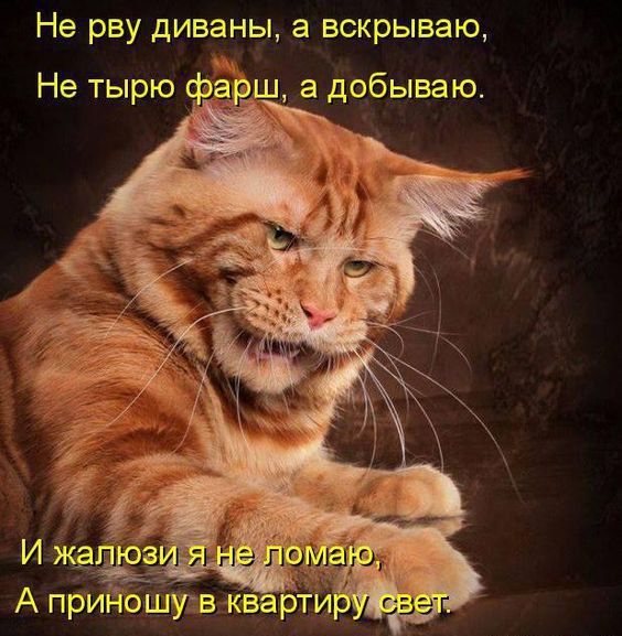 Не рву диваны, а вскрываю,
Не тырю фарш, а добываю.

И жалюзи я не ломаю,
А приношу в квартиру свет.