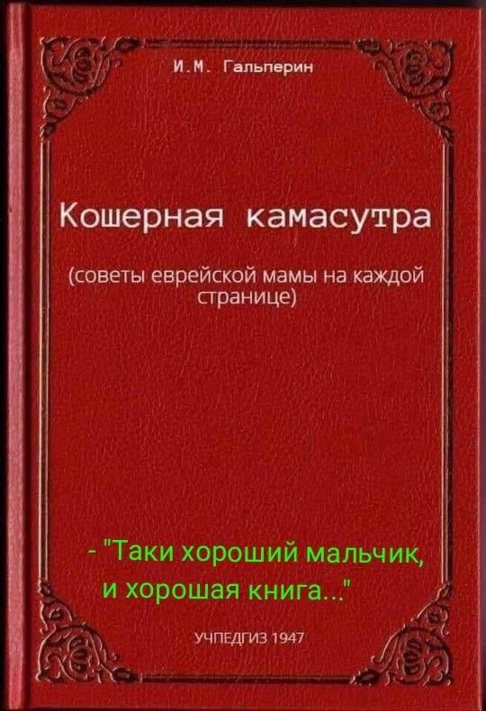 Кошерная самаюстра (советы еврейской мамы на каждой странице) - 