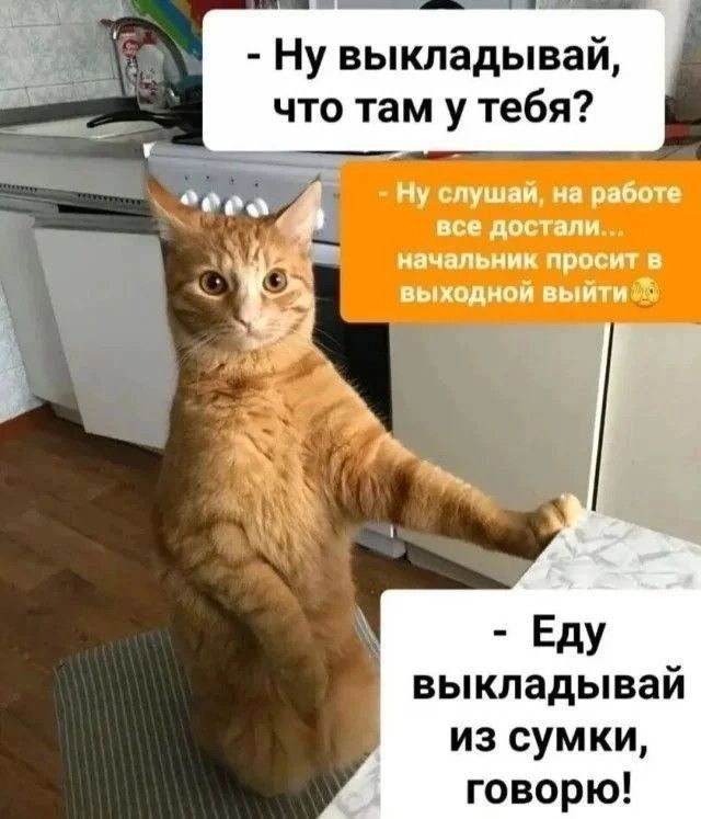 Ну выкладывай, что там у тебя?

Ну слушай, на работе все достали... начальник просит в выходной выйти. 

Еду выкладывай из сумки, говорю!