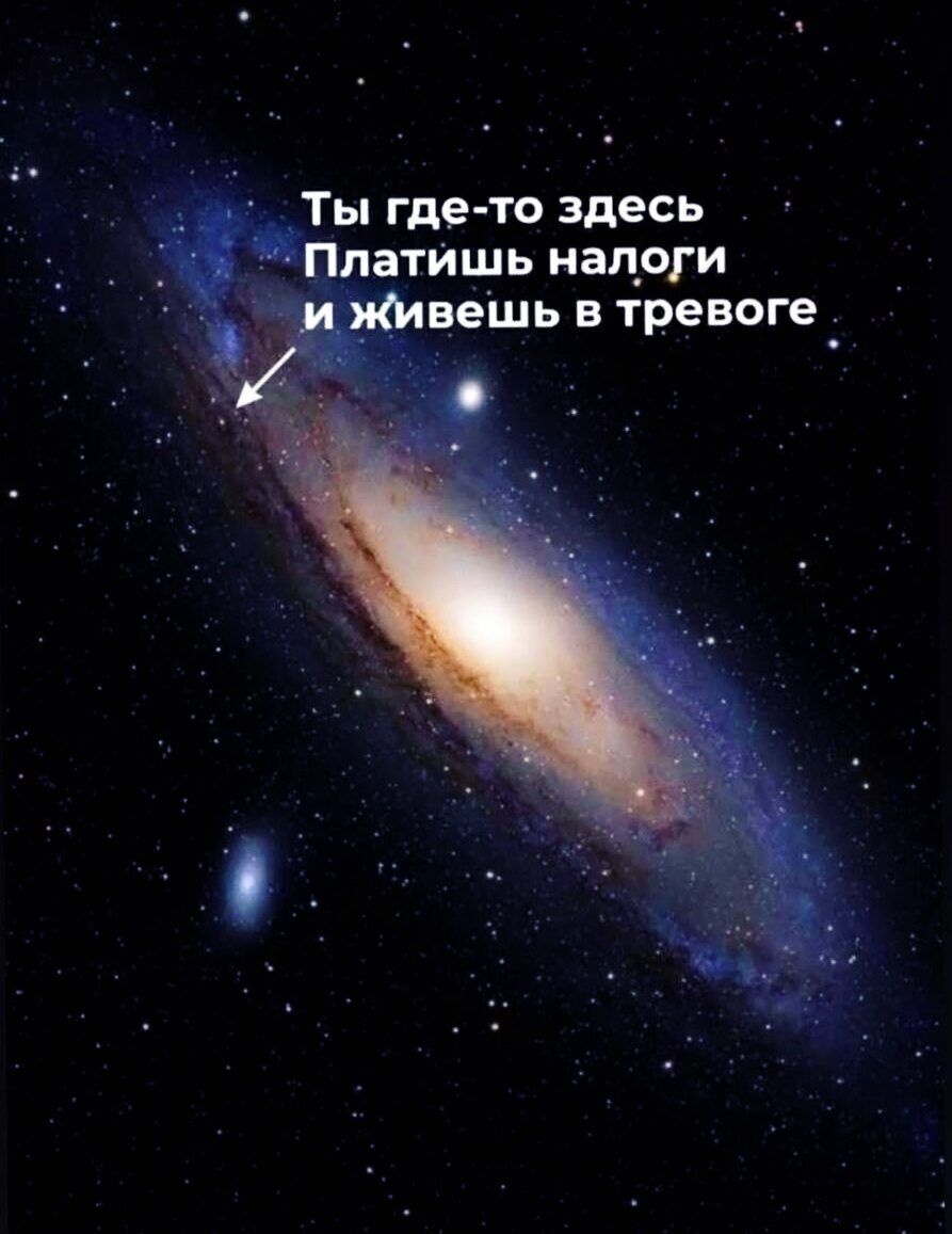 Ты где-то здесь Платишь налоги и живёшь в тревоге
