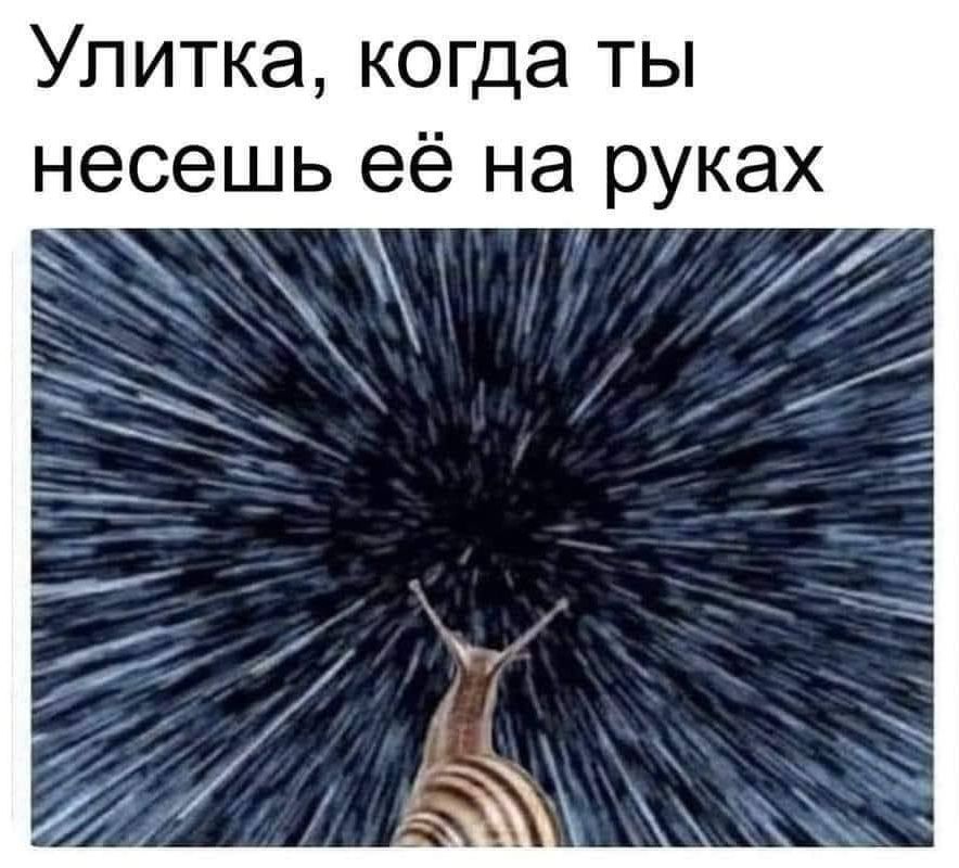 Улитка, когда ты несёшь её на руках