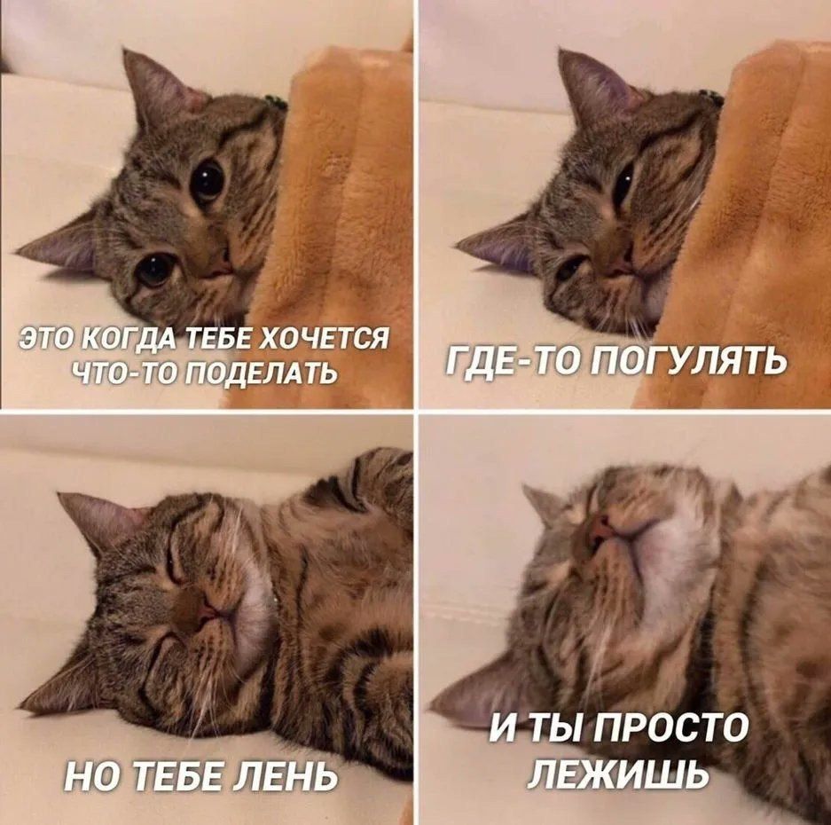 Это когда тебе хочется что-то сделать
Где-то погулять
Но тебе лень
И ты просто лежишь