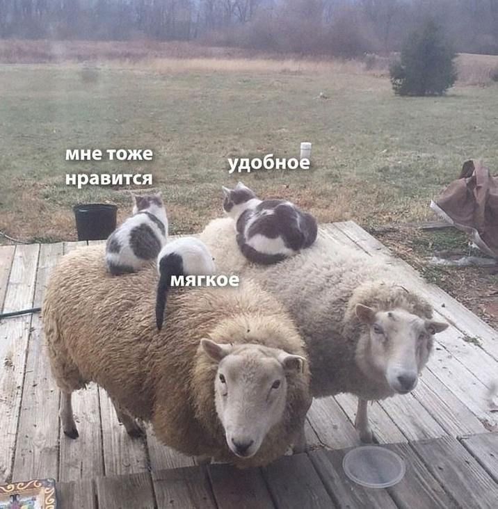 мне тоже нравится удобное мягкое