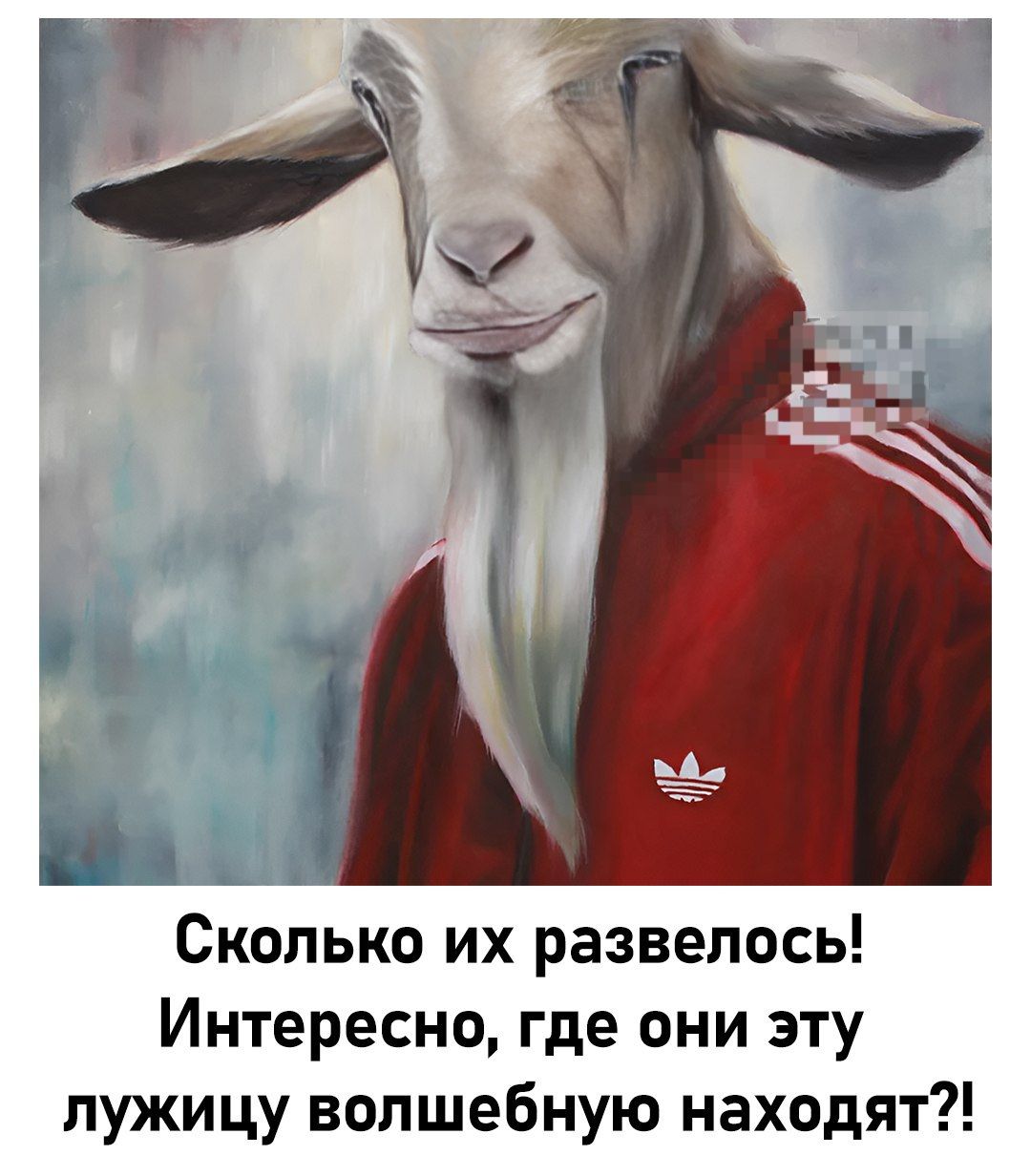 Сколько их развелось! Интересно, где они эту лужицу волшебную находят?!