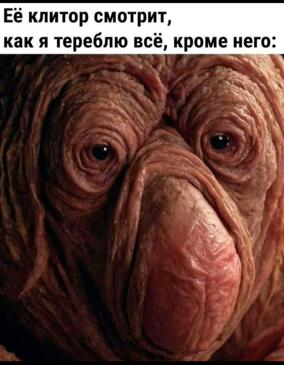 Её клитор смотрит, как я тереблю всё, кроме него: