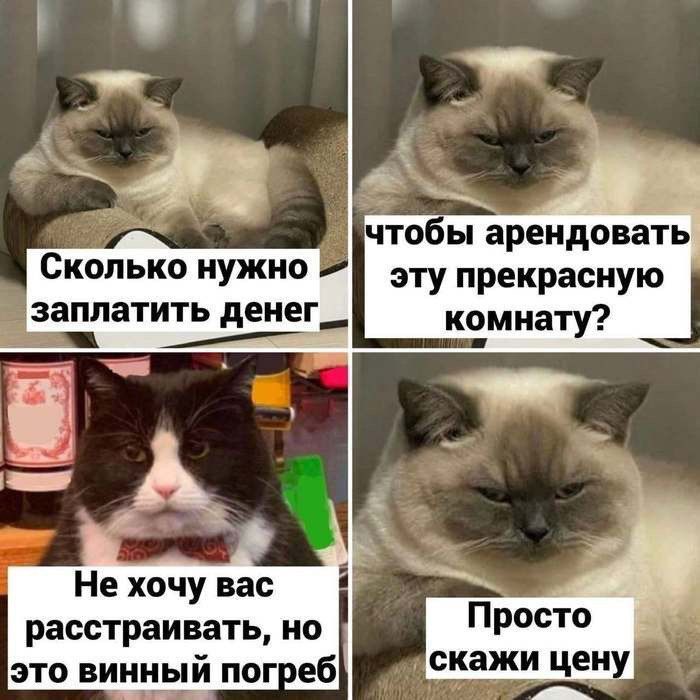 Сколько нужно заплатить денег, чтобы арендовать эту прекрасную комнату? Не хочу вас расстраивать, но это винный погреб. Просто скажи цену.