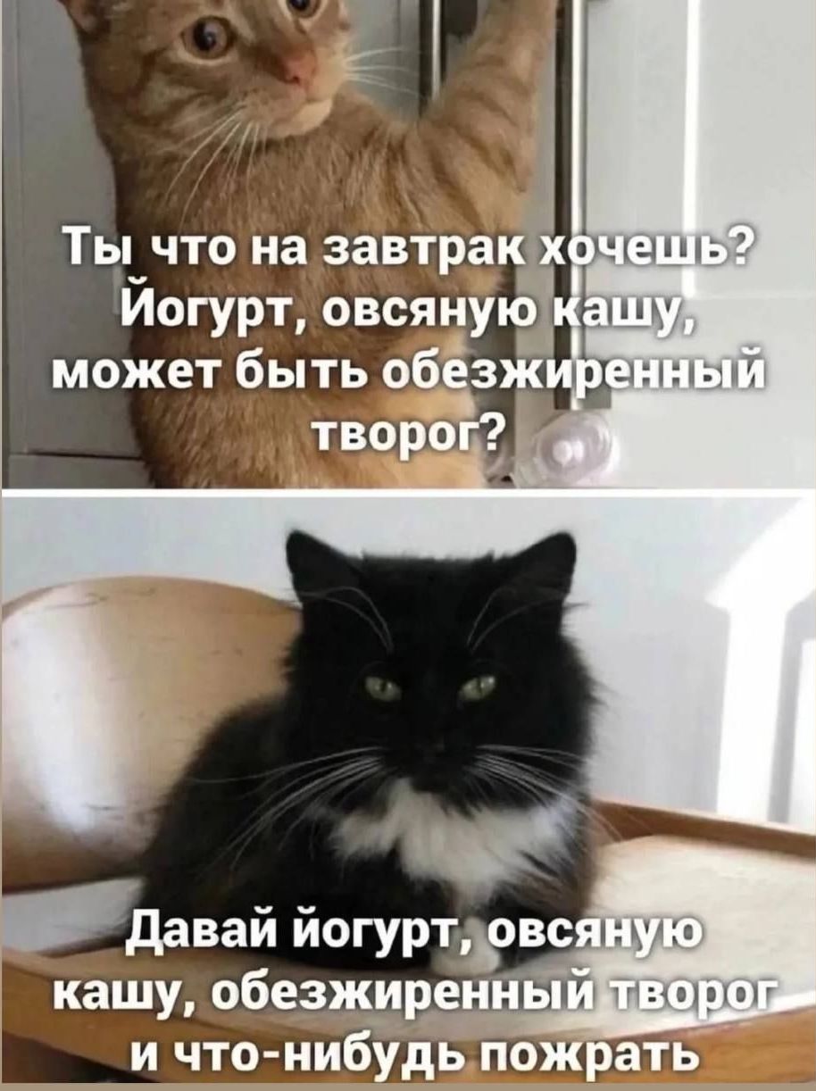 Ты что на завтрак хочешь? Йогурт, овсяную кашу, может быть обезжиренный творог?
Давай йогурт, овсяную кашу, обезжиренный творог и что-нибудь пожрать