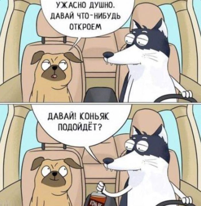 УЖАСНО ДУШНО. ДАВАЙ ЧТО-НИБУДЬ ОТКРОЕМ
ДАВАЙ! КОНЬЯК ПОДОЙДЁТ?