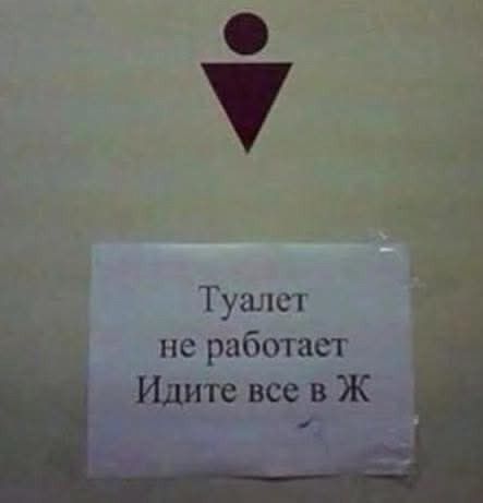 Туалет не работает. Идите все в Ж.
