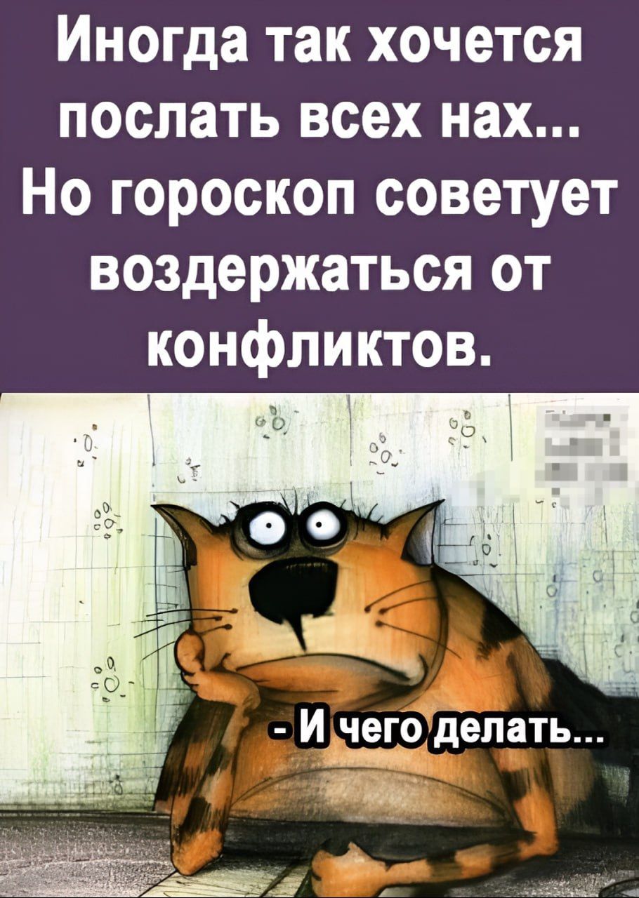 Иногда так хочется послать всех нах... Но гороскоп советует воздержаться от конфликтов.
- И чего делать...