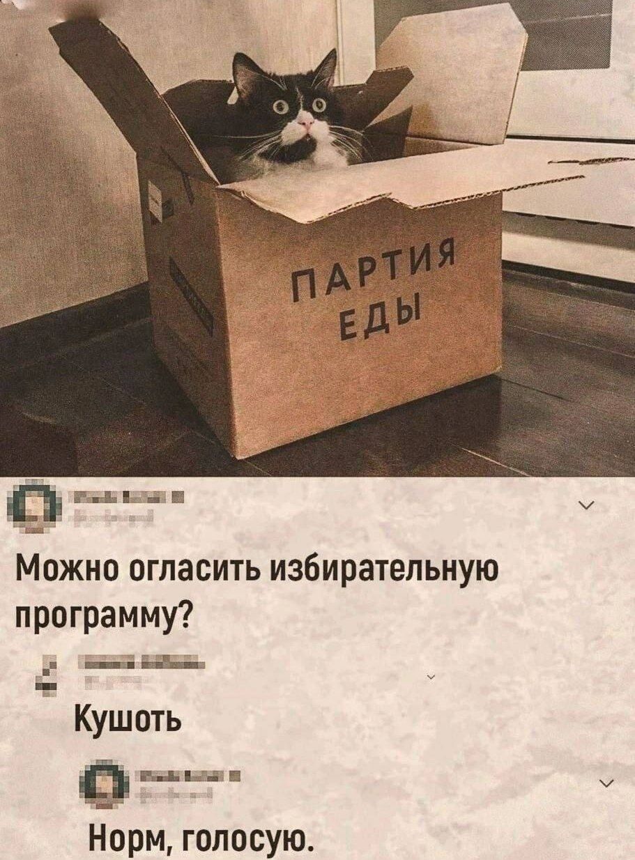 ПАРТИЯ ЕДЫ
Можно огласить избирательную программу?
Кушоть
Норм, голосую.