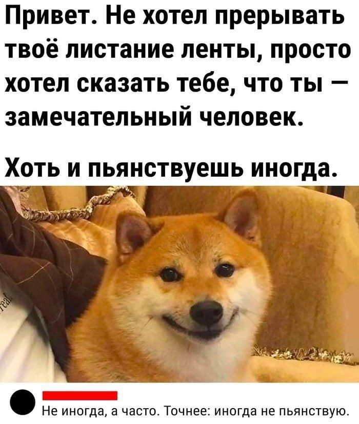 Привет. Не хотел прерывать твоё листание ленты, просто хотел сказать тебе, что ты — замечательный человек.
Хотя и пьянствуешь иногда.