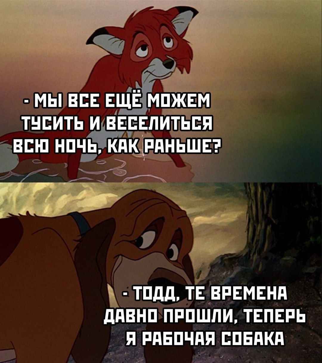 – Мы все еще можем тусить и веселиться всю ночь, как раньше?
– Тогда, те времена давно прошли, теперь я рабочая собака.