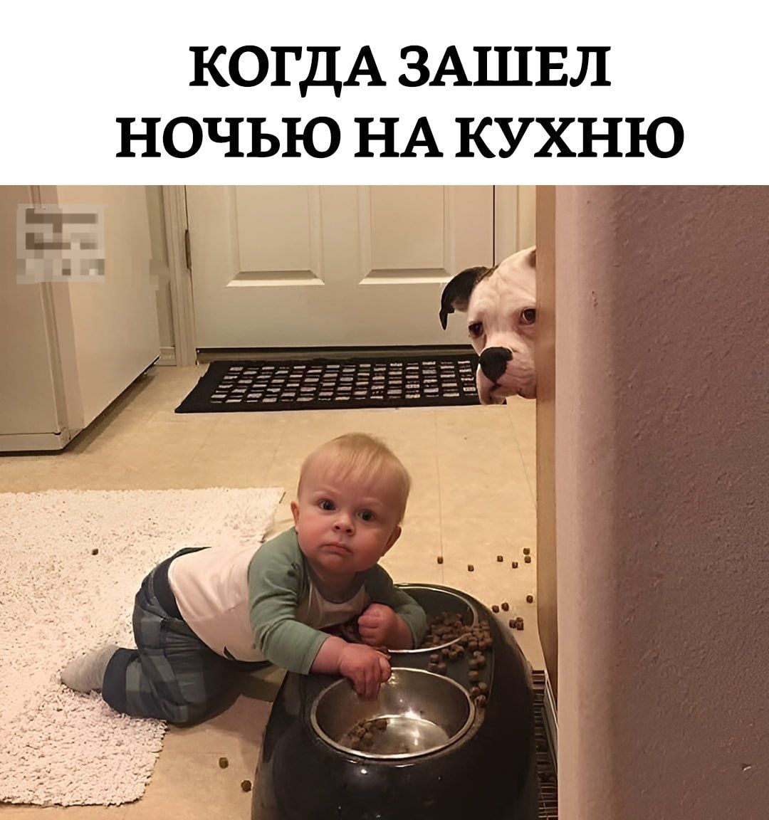 КОГДА ЗАШЕЛ НОЧЬЮ НА КУХНЮ
