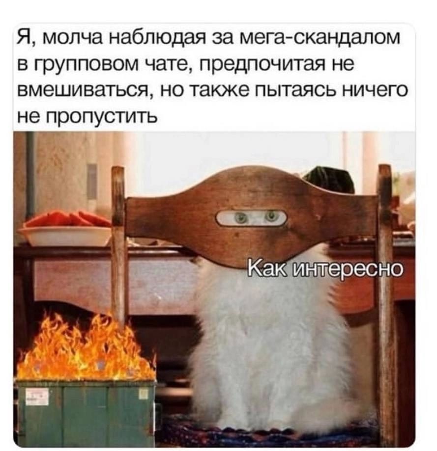 Я, молча наблюдая за мега-скандалом в групповом чате, предпочитая не вмешиваться, но также пытаясь ничего не пропустить
Как интересно