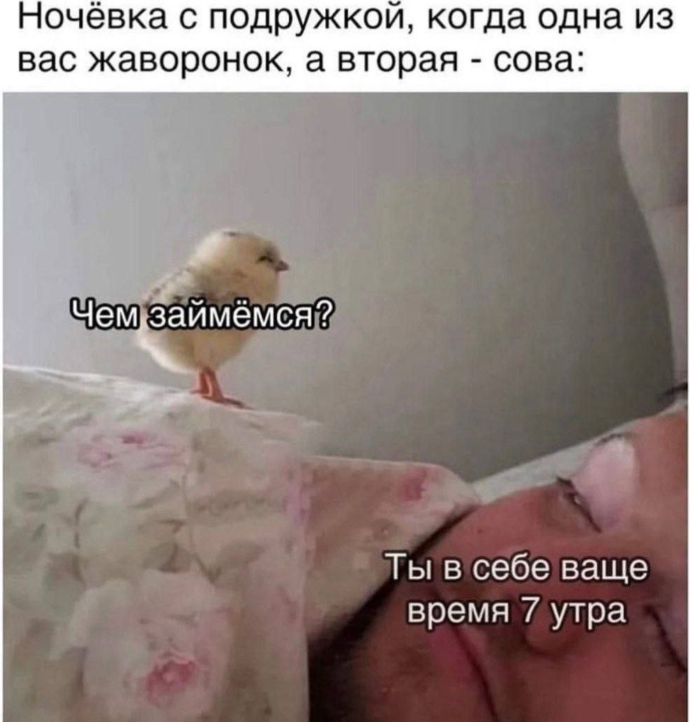 Ночёвка с подружкой, когда одна из вас жаваоронок, а вторая - сова:
Чем займёмся?
Ты в себе вообще время 7 утра