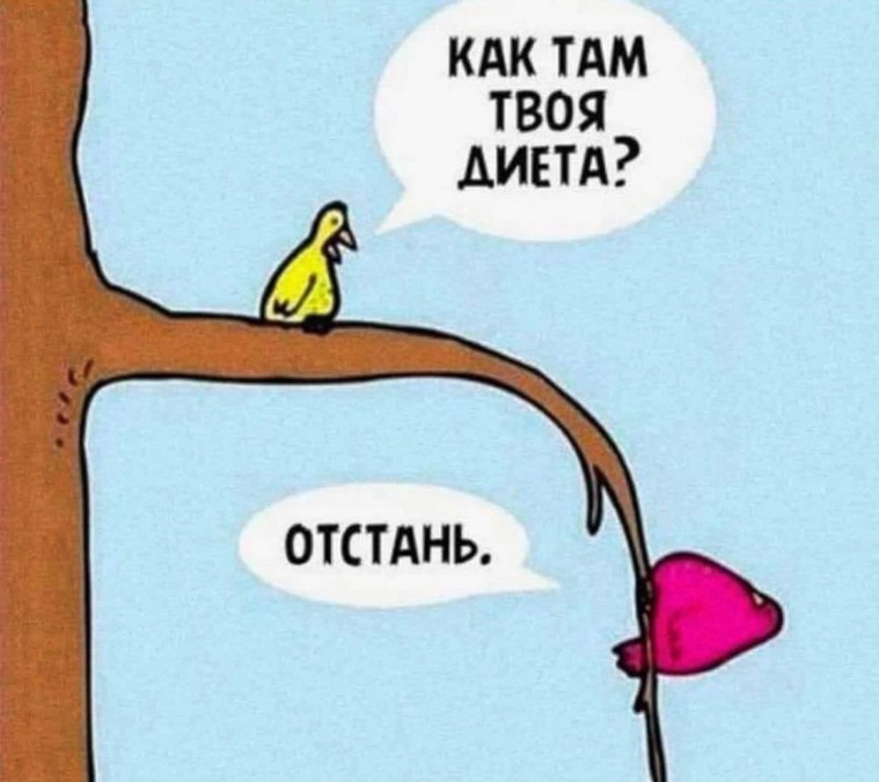 Как там твоя диета? Отстань.