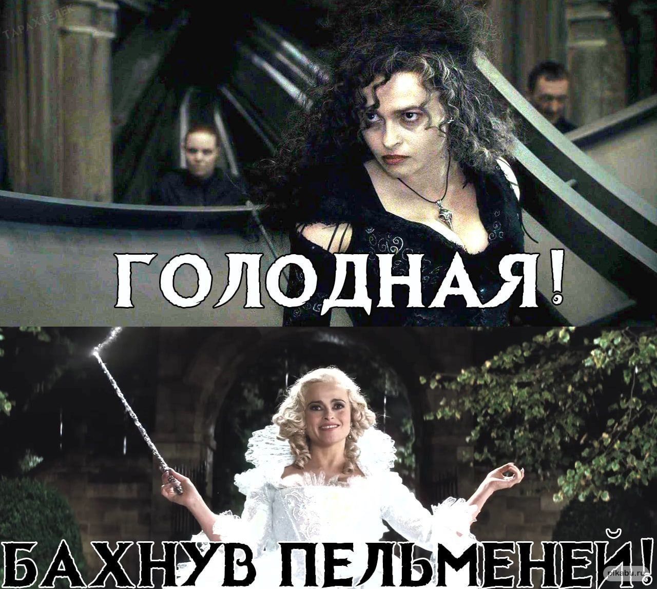 ГОЛОДНАЯ! БАХНУВ ПЕЛЬМЕНЕЙ!