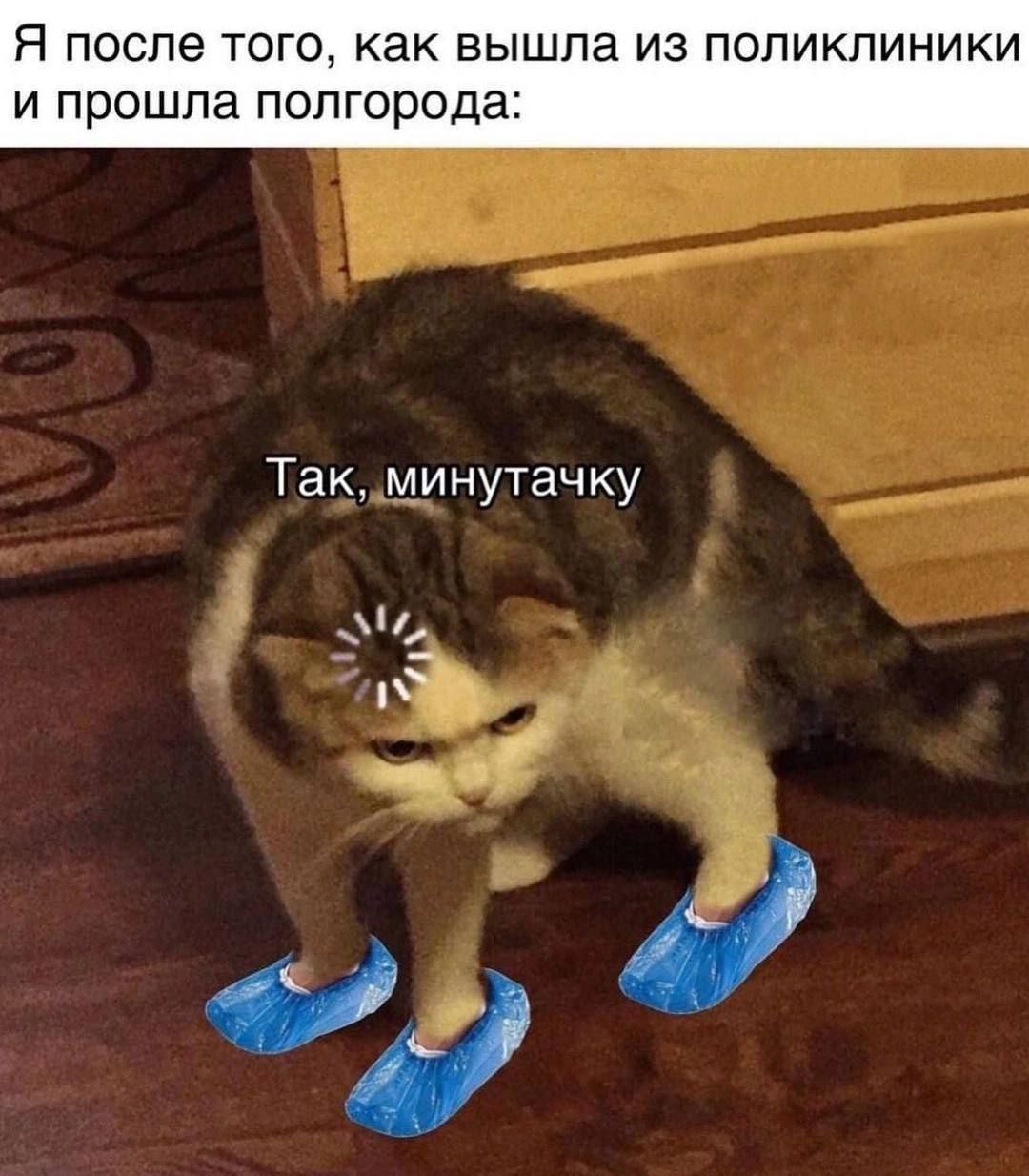 Я после того, как вышла из поликлиники и прошла полгорода: Так, минутку.