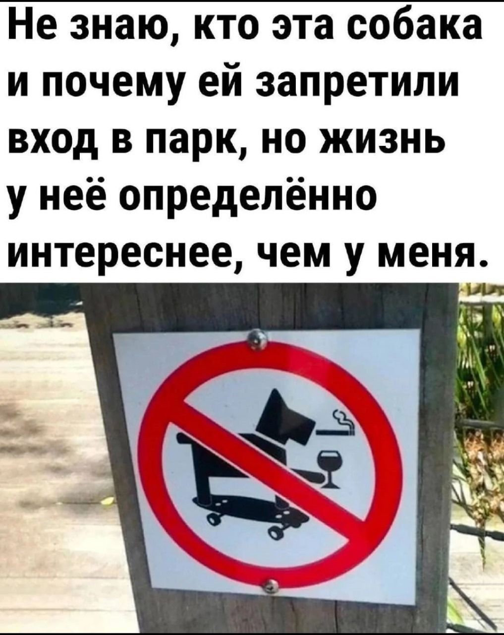 Не знаю, кто эта собака и почему ей запретили вход в парк, но жизнь у неё определённо интереснее, чем у меня.