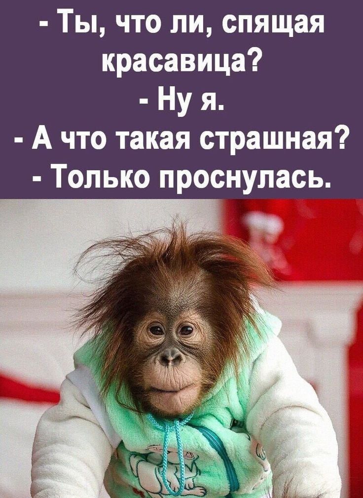 - Ты, что ли, спящая красавица?  - Ну я.  - А что такая страшная?  - Только проснулась.