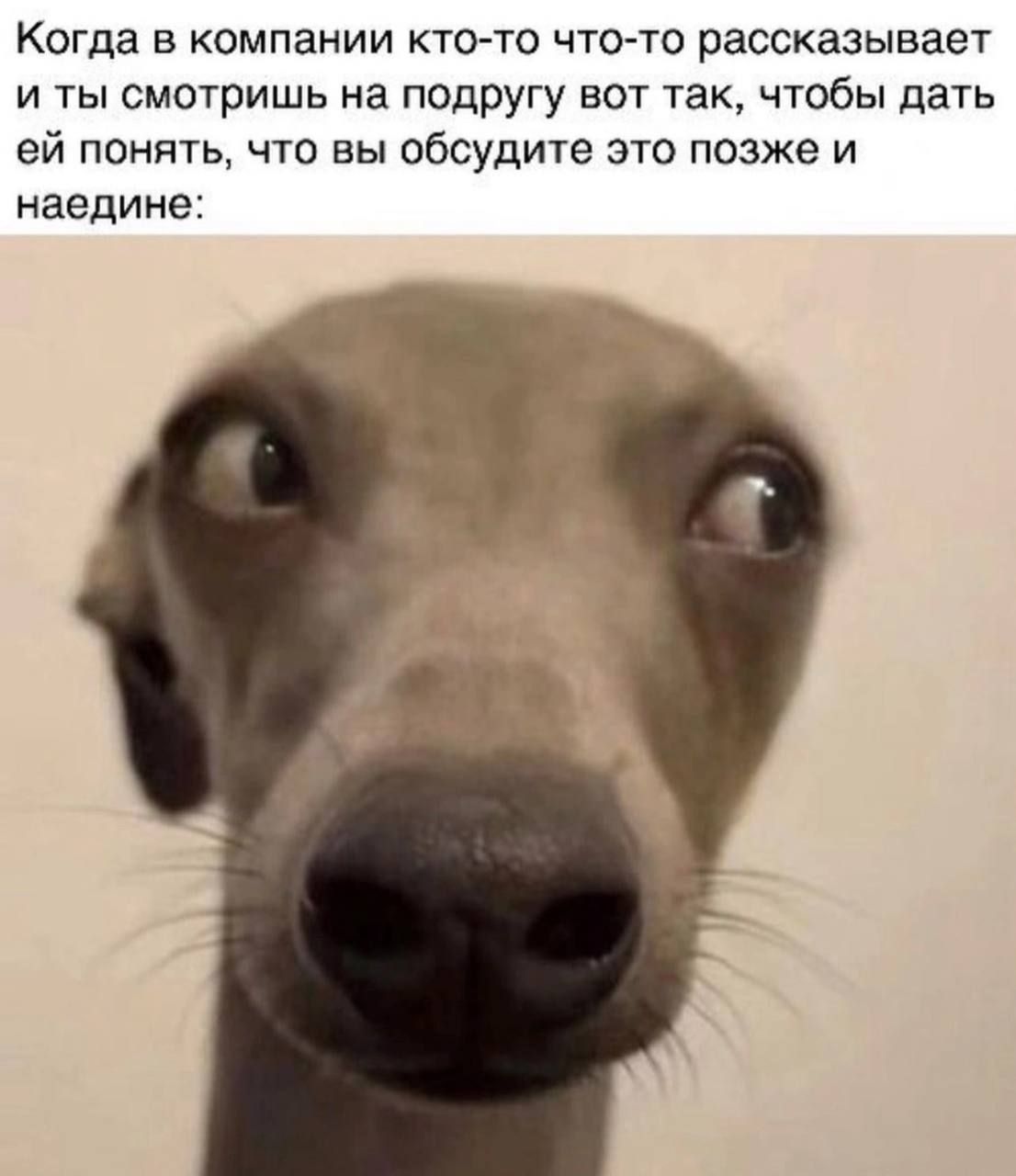 Когда в компании кто-то что-то рассказывает и ты смотришь на подругу вот так, чтобы дать ей понять, что вы обсудите это позже и наедине: