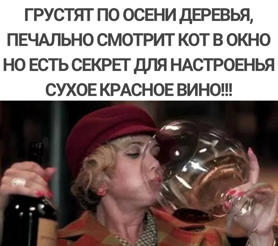ГРУСТЯТ ПО ОСЕНИ ДЕРЕВЬЯ, ПЕЧАЛЬНО СМОТРИТ КОТ В ОКНО НО ЕСТЬ СЕКРЕТ ДЛЯ НАСТРОЕНИЯ СУХОЕ КРАСНОЕ ВИНО!!!
