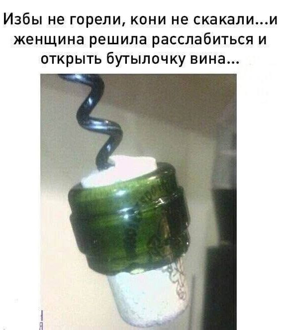 Избы не горели, кони не скакали...и женщина решила расслабиться и открыть бутылочку вина...