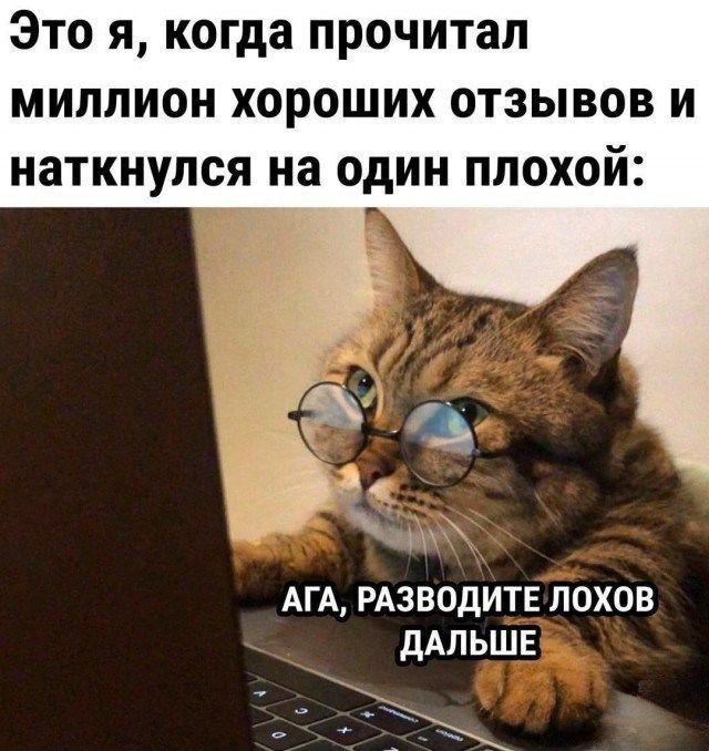 Это я, когда прочитал миллион хороших отзывов и наткнулся на один плохой:
АГА, РАЗВОДИТЕ ЛОХОВ ДАЛЬШЕ