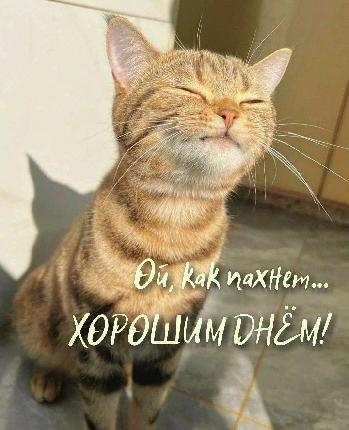 Ой, как нахтем... ХОРОШИМ ДНЁМ!