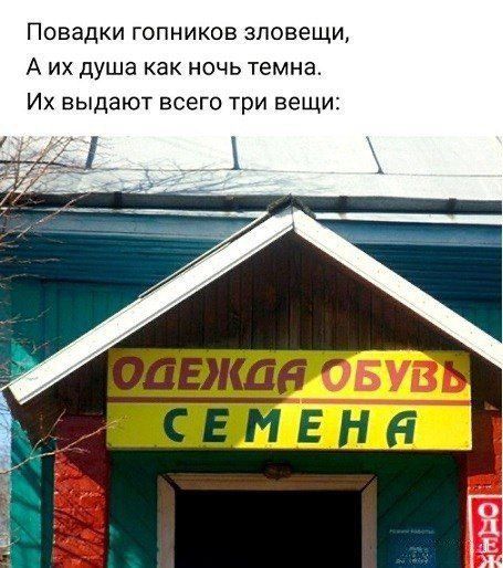 Повавки гопников зловещи, А их душа как ночь темна. Их выдают всего три вещи: ОДЕЖДА ОБУВЬ СЕМЕНА