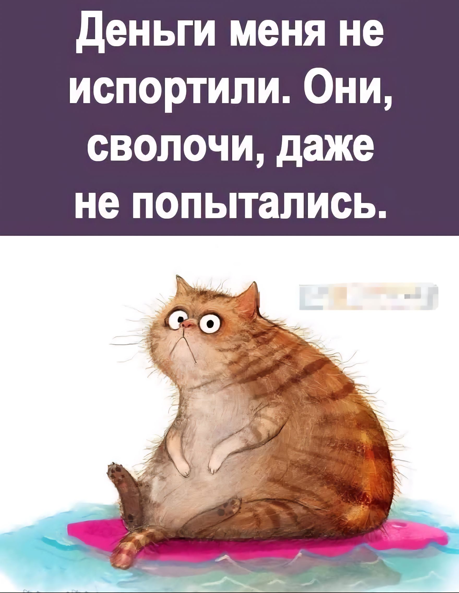 Деньги меня не испортили. Они, сволочи, даже не попытались.