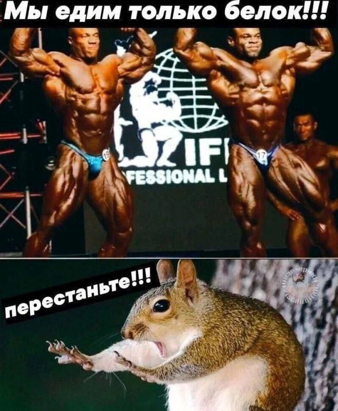 Мы едим только белок!!!
перестаньте!!!