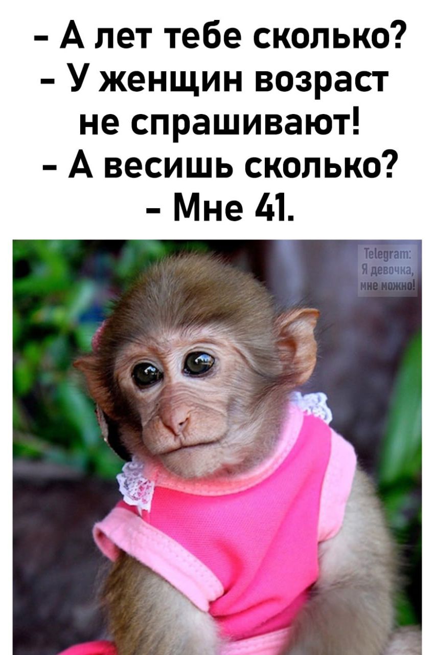 – А лет тебе сколько?  
– У женщин возраст не спрашивают!  
– А весишь сколько?  
– Мне 41.