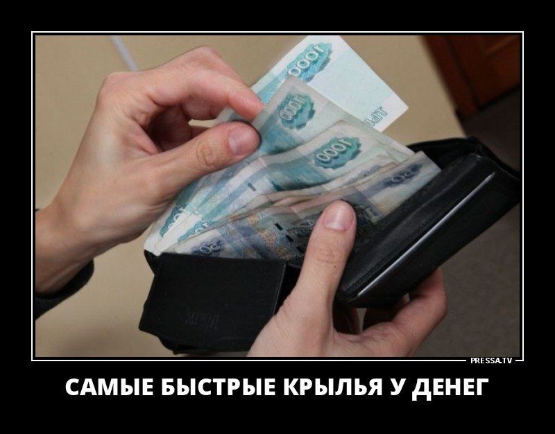 САМЫЕ БЫСТРЫЕ КРЫЛЬЯ У ДЕНЕГ