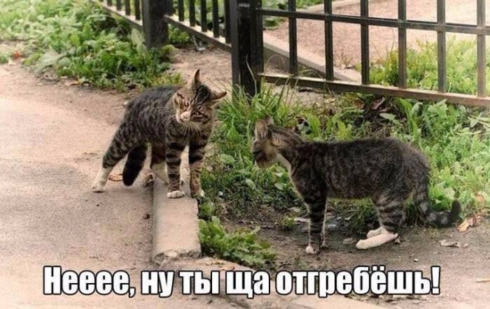 Нееее, ну ты ща отгребёшь!