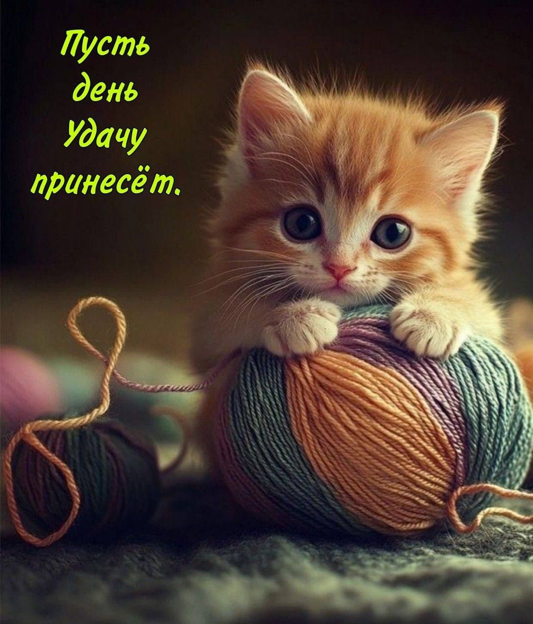 Пусть день Удачу принесёт.