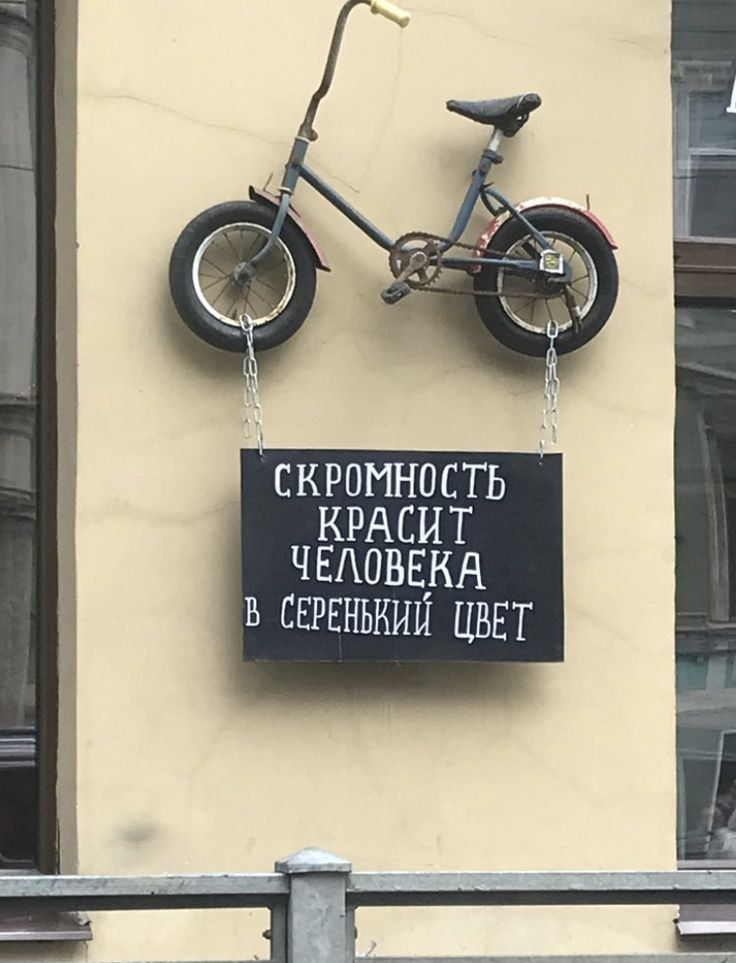 СКРОМНОСТЬ КРАСИТ ЧЕЛОВЕКА В СЕРЕНЬКИЙ ЦВЕТ