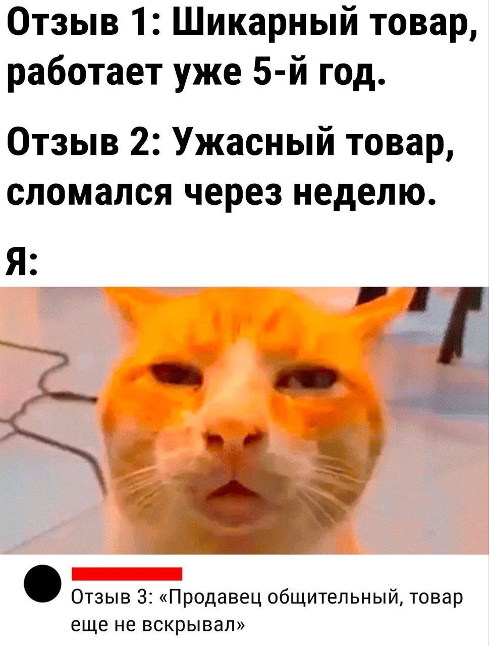 Отзыв 1: Шикарный товар, работает уже 5-й год.
Отзыв 2: Ужасный товар, сломался через неделю.
Я:
Отзыв 3: «Продавец общительный, товар еще не вскрывал»