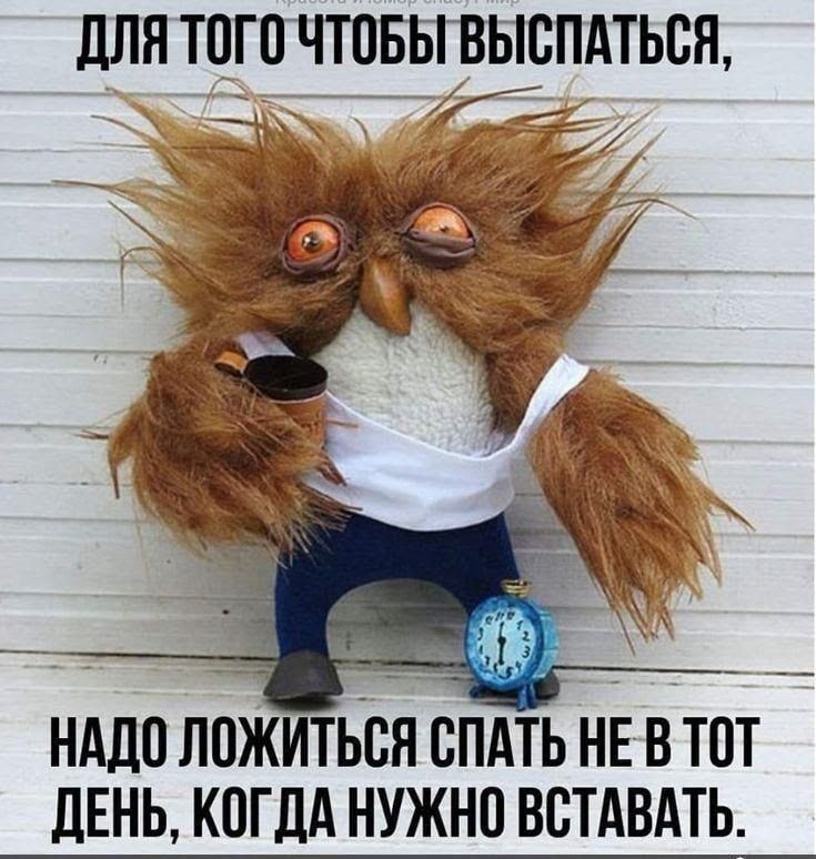 Для того чтобы выспаться, надо ложиться спать не в тот день, когда нужно вставать.