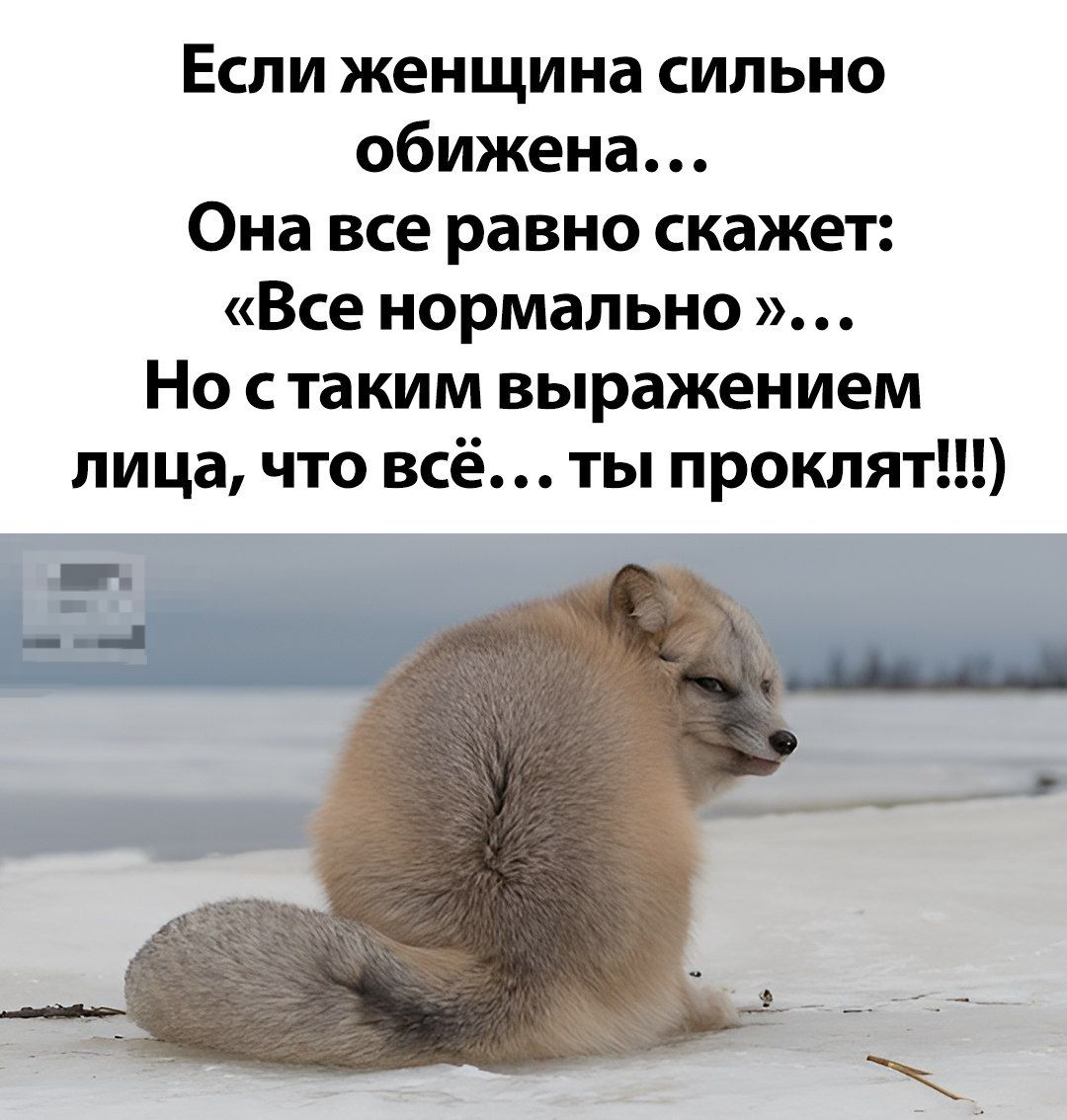 Если женщина сильно обижена... Она все равно скажет: «Все нормально»... Но с таким выражением лица, что всё… ты проклят!!!)