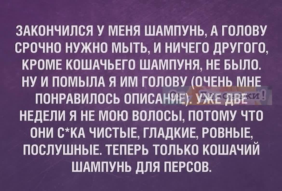 Закончилось у меня шампунь, а голову срочно нужно мыть, и ничего другого, кроме кошачьего шампуна, не было. Ну и помыла я им голову (очень мне понравилось описание). Уже две недели я не мою волосы, потому что они с*ка чистые, гладкие, ровные, послушные. Теперь только кошачий шампунь для персов.
